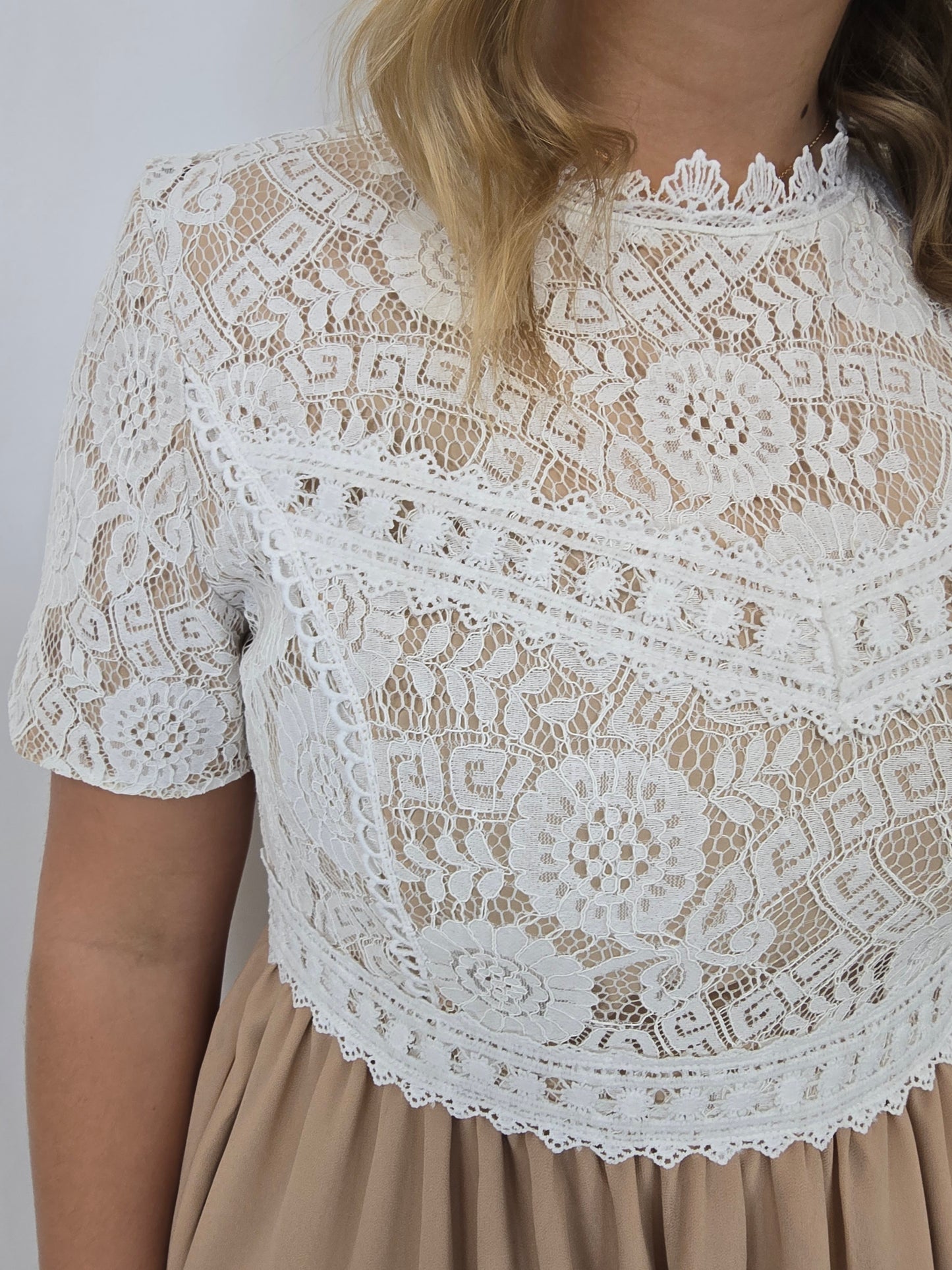 Lace Chiffon Dress