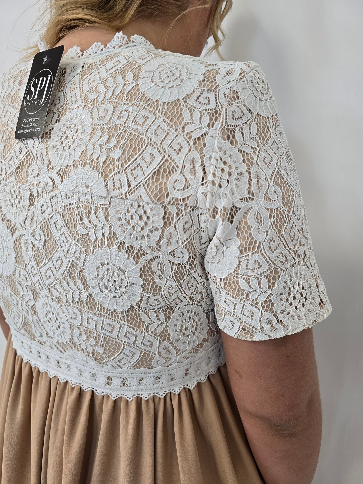 Lace Chiffon Dress