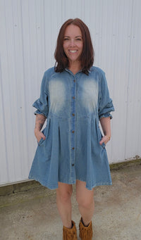 Dana Denim Dress