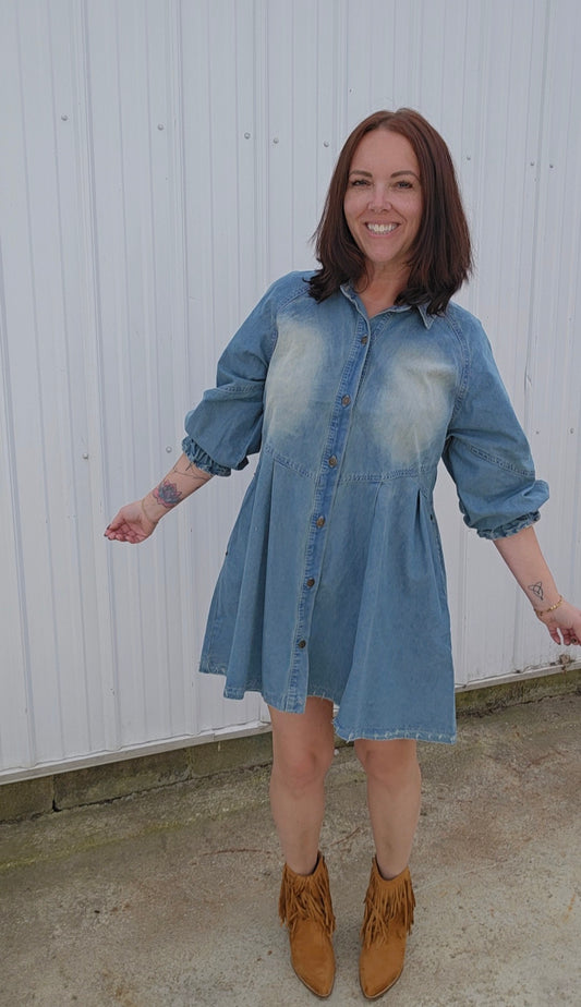 Dana Denim Dress
