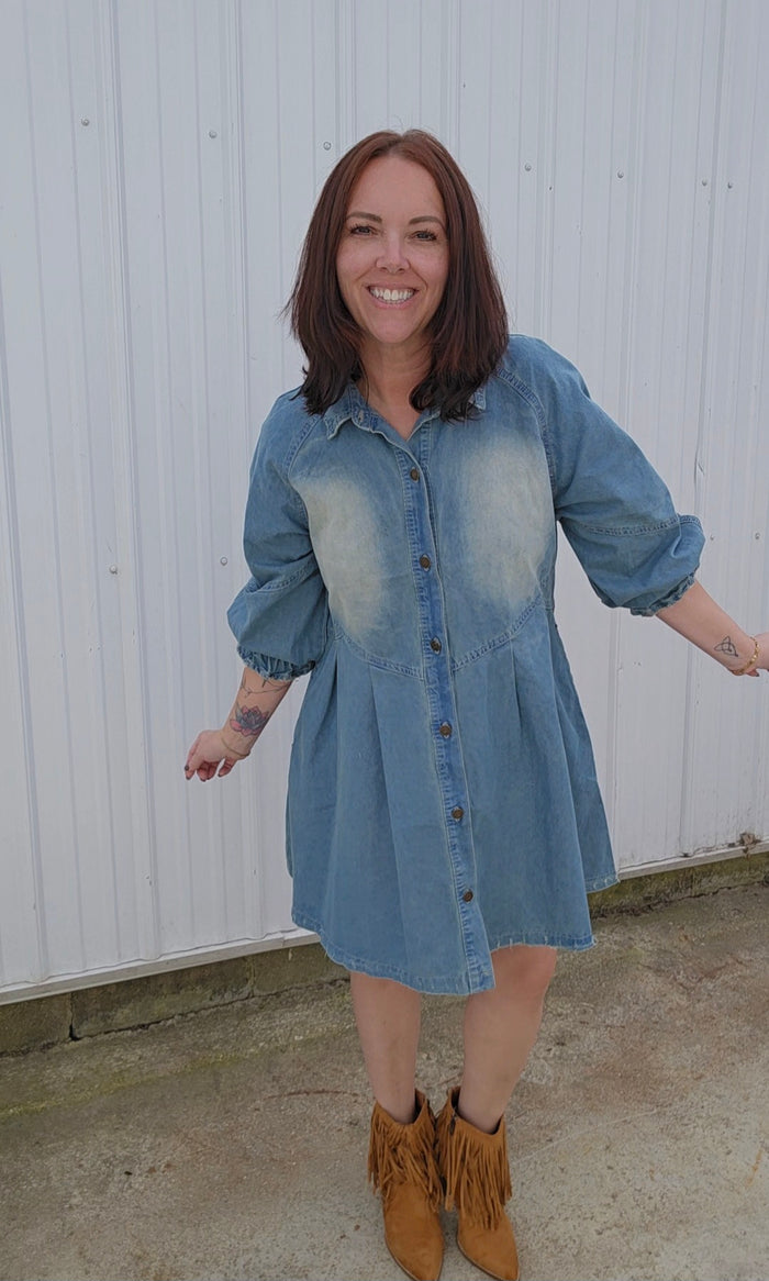 Dana Denim Dress